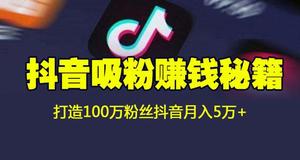 利用抖音数据公式让粉丝破百万视频