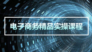 电子商务精品实操课程