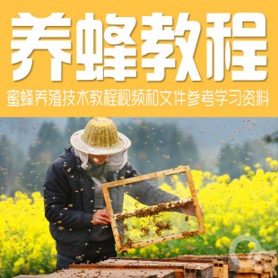 养蜂技术大全（含：蜜蜂养殖技术视频+中蜂养殖资料）