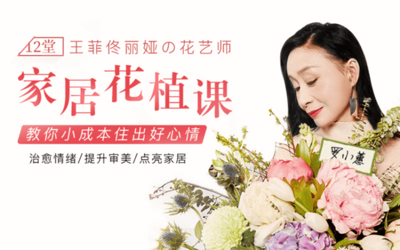 12堂家居花艺绿植课：教你小成本住出好心情